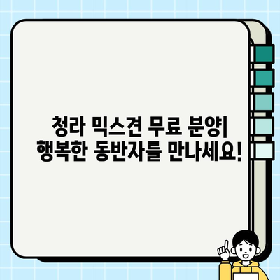 청라에서 건강하고 행복한 믹스견 무료 분양 받기| 드림독 추천 | 청라 강아지 무료 분양, 믹스견 입양, 유기견 입양, 동물 보호
