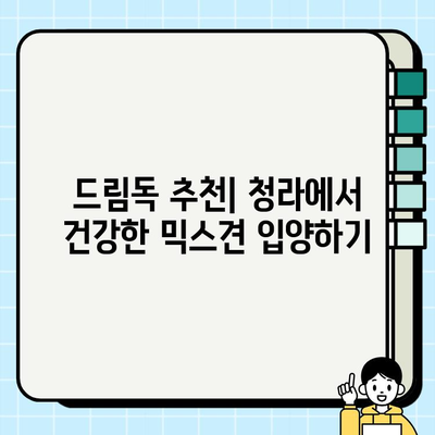 청라에서 건강하고 행복한 믹스견 무료 분양 받기| 드림독 추천 | 청라 강아지 무료 분양, 믹스견 입양, 유기견 입양, 동물 보호