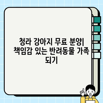 청라에서 건강하고 행복한 믹스견 무료 분양 받기| 드림독 추천 | 청라 강아지 무료 분양, 믹스견 입양, 유기견 입양, 동물 보호