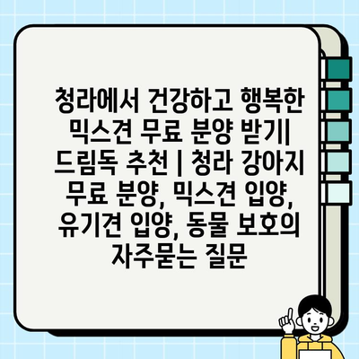 청라에서 건강하고 행복한 믹스견 무료 분양 받기| 드림독 추천 | 청라 강아지 무료 분양, 믹스견 입양, 유기견 입양, 동물 보호