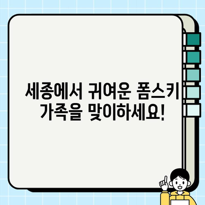 세종 폼스키 무료 분양으로 드림 컴 트루| 귀여운 폼스키 가족 맞이하기 | 세종, 폼스키 분양, 무료 분양, 강아지 입양