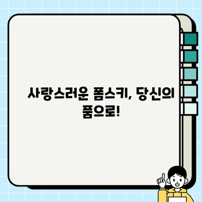 세종 폼스키 무료 분양으로 드림 컴 트루| 귀여운 폼스키 가족 맞이하기 | 세종, 폼스키 분양, 무료 분양, 강아지 입양