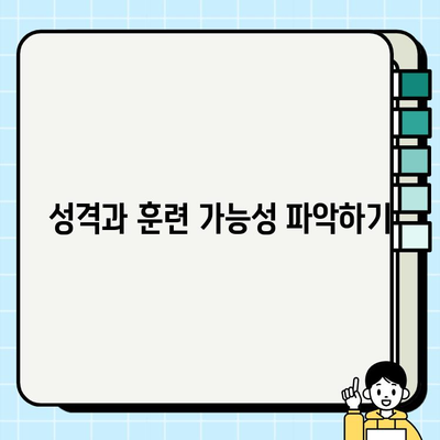 강아지 무료분양 받기 전 꼭 확인해야 할 7가지 체크리스트 | 입양 전 필수 확인 사항, 건강 상태, 유기견 봉사