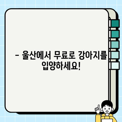 울산 무료 강아지 분양| 마이펫의 따뜻한 마음 | 울산, 강아지 입양, 유기견, 동물 보호