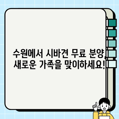 수원에서 시바견 무료 분양 받고, 소중한 동반자를 만나세요! | 시바견 분양, 수원 강아지 무료 분양, 반려견 입양