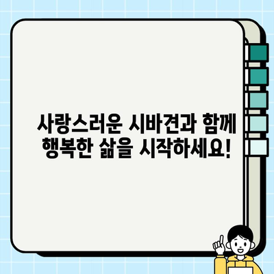 수원에서 시바견 무료 분양 받고, 소중한 동반자를 만나세요! | 시바견 분양, 수원 강아지 무료 분양, 반려견 입양