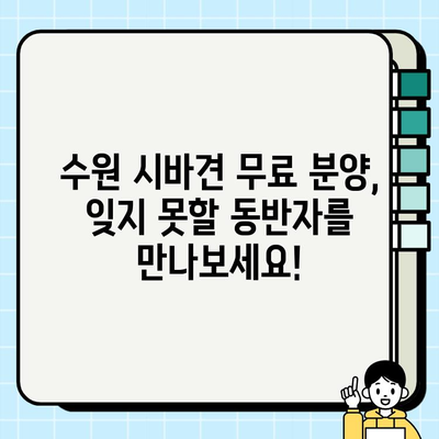 수원에서 시바견 무료 분양 받고, 소중한 동반자를 만나세요! | 시바견 분양, 수원 강아지 무료 분양, 반려견 입양