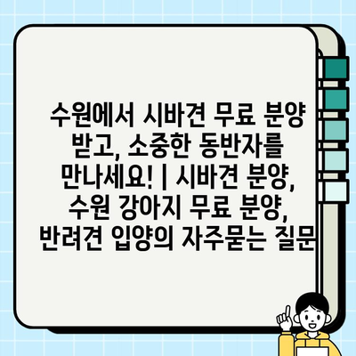 수원에서 시바견 무료 분양 받고, 소중한 동반자를 만나세요! | 시바견 분양, 수원 강아지 무료 분양, 반려견 입양