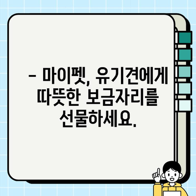 울산 무료 강아지 분양| 마이펫의 따뜻한 마음 | 울산, 강아지 입양, 유기견, 동물 보호
