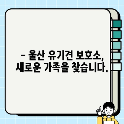 울산 무료 강아지 분양| 마이펫의 따뜻한 마음 | 울산, 강아지 입양, 유기견, 동물 보호