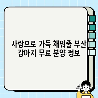 부산에서 달콤한 사랑을 나눌 강아지 무료 분양 이야기 | 부산 강아지 무료 분양, 입양 정보, 유기견