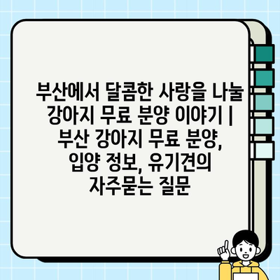 부산에서 달콤한 사랑을 나눌 강아지 무료 분양 이야기 | 부산 강아지 무료 분양, 입양 정보, 유기견