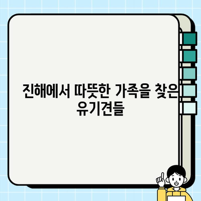 진해 강아지 무료 분양 성공 사례| 따뜻한 가족을 찾은 댕댕이들의 이야기 | 진해, 유기견, 입양, 무료 분양, 성공 사례