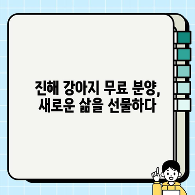 진해 강아지 무료 분양 성공 사례| 따뜻한 가족을 찾은 댕댕이들의 이야기 | 진해, 유기견, 입양, 무료 분양, 성공 사례