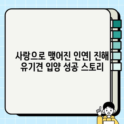 진해 강아지 무료 분양 성공 사례| 따뜻한 가족을 찾은 댕댕이들의 이야기 | 진해, 유기견, 입양, 무료 분양, 성공 사례