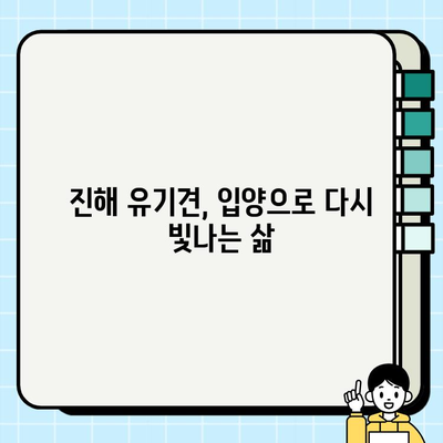 진해 강아지 무료 분양 성공 사례| 따뜻한 가족을 찾은 댕댕이들의 이야기 | 진해, 유기견, 입양, 무료 분양, 성공 사례