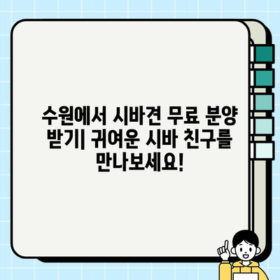 수원 시바견 무료분양 정보| 귀여운 시바 친구를 찾아보세요! | 시바견 분양, 수원, 무료 분양, 강아지 입양