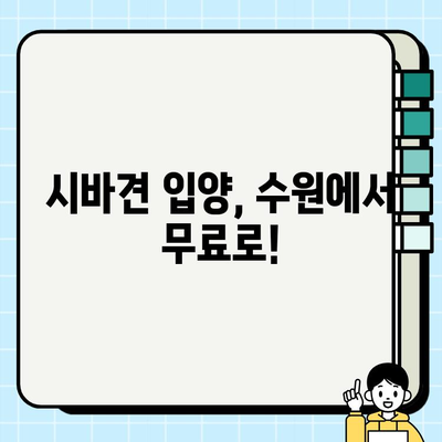 수원 시바견 무료분양 정보| 귀여운 시바 친구를 찾아보세요! | 시바견 분양, 수원, 무료 분양, 강아지 입양