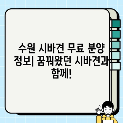 수원 시바견 무료분양 정보| 귀여운 시바 친구를 찾아보세요! | 시바견 분양, 수원, 무료 분양, 강아지 입양