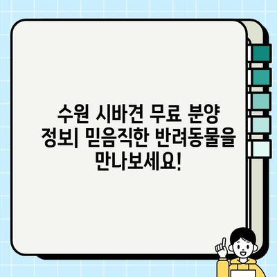 수원 시바견 무료분양 정보| 귀여운 시바 친구를 찾아보세요! | 시바견 분양, 수원, 무료 분양, 강아지 입양