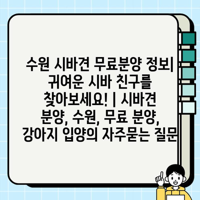 수원 시바견 무료분양 정보| 귀여운 시바 친구를 찾아보세요! | 시바견 분양, 수원, 무료 분양, 강아지 입양