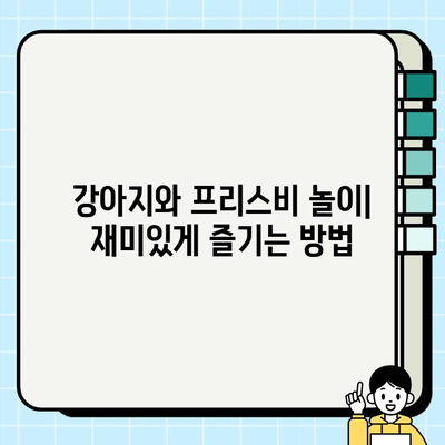 강아지와 프리스비 놀이| 즐거운 시간 보내는 팁과 주의 사항 | 강아지, 프리스비, 놀이, 훈련, 안전