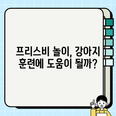 강아지와 프리스비 놀이| 즐거운 시간 보내는 팁과 주의 사항 | 강아지, 프리스비, 놀이, 훈련, 안전