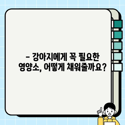 강아지 건강을 위한 비타민&미네랄 첨가 가이드 | 강아지 영양, 식단 관리, 건강 팁