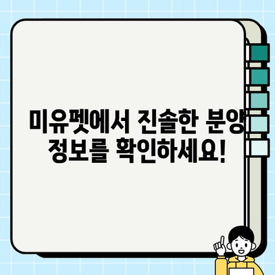 광주 무료 강아지 분양, 미유펫의 건강한 강아지들을 만나보세요! | 진솔한 분양 정보, 건강한 강아지, 광주 강아지 분양