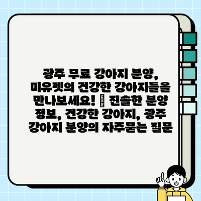 광주 무료 강아지 분양, 미유펫의 건강한 강아지들을 만나보세요! | 진솔한 분양 정보, 건강한 강아지, 광주 강아지 분양