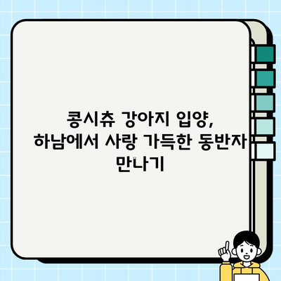 하남에서 무료 분양 받을 수 있는 콩시츄 강아지 추천 | 하남 강아지 분양, 콩시츄 무료 분양, 애견 입양