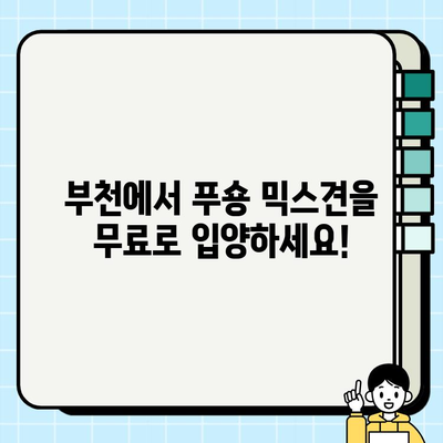 부천 푸숑 믹스견 무료 분양| 귀여움 가득한 댕댕이를 만나보세요! | 푸숑, 믹스견, 강아지, 무료 분양, 부천