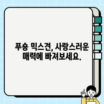 부천 푸숑 믹스견 무료 분양| 귀여움 가득한 댕댕이를 만나보세요! | 푸숑, 믹스견, 강아지, 무료 분양, 부천
