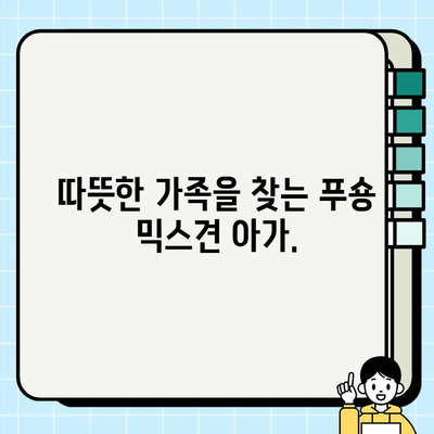 부천 푸숑 믹스견 무료 분양| 귀여움 가득한 댕댕이를 만나보세요! | 푸숑, 믹스견, 강아지, 무료 분양, 부천