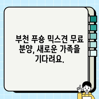 부천 푸숑 믹스견 무료 분양| 귀여움 가득한 댕댕이를 만나보세요! | 푸숑, 믹스견, 강아지, 무료 분양, 부천
