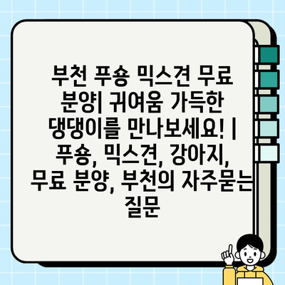 부천 푸숑 믹스견 무료 분양| 귀여움 가득한 댕댕이를 만나보세요! | 푸숑, 믹스견, 강아지, 무료 분양, 부천