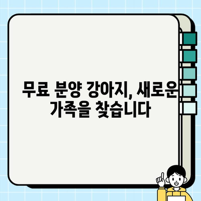 충직한 친구를 찾고 계신가요? 무료 분양 강아지 만나보세요! | 강아지 무료 분양, 입양, 유기견