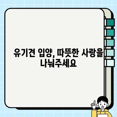 충직한 친구를 찾고 계신가요? 무료 분양 강아지 만나보세요! | 강아지 무료 분양, 입양, 유기견