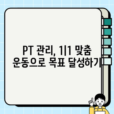 석촌역 헬스장| PT 관리 & 무료 회원권 혜택 비교 가이드 | 헬스장 추천, 1|1 맞춤 운동, 석촌역 헬스