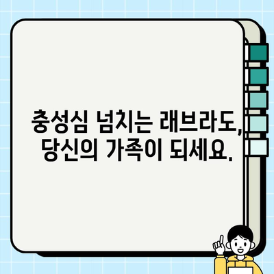 래브라도 리트리버 무료 분양| 충성심 넘치는 친구 찾기 | 가족과 함께할 특별한 동반자