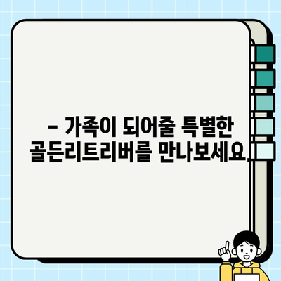 전주에서 무료 분양하는 멋진 골든리트리버 만나보세요! | 전주 강아지 무료 분양, 골든리트리버, 입양