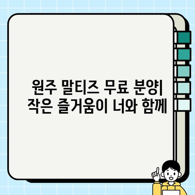 원주 말티치 무료 분양| 작은 즐거움이 너와 함께 | 귀여운 말티즈 분양 정보, 입양 안내