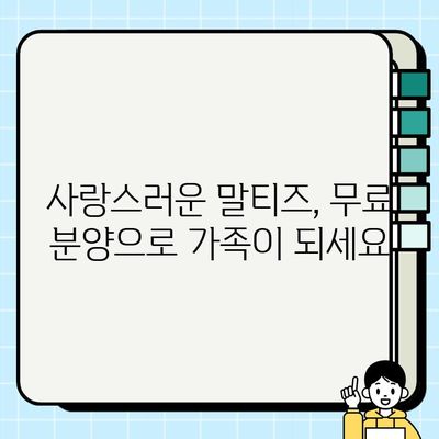 원주 말티치 무료 분양| 작은 즐거움이 너와 함께 | 귀여운 말티즈 분양 정보, 입양 안내