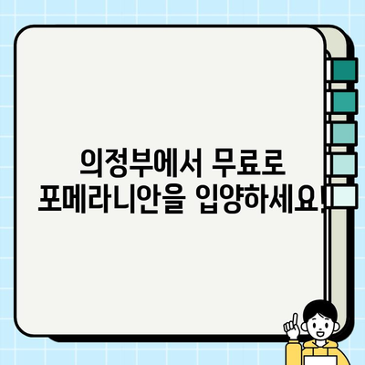 의정부에서 무료 분양하는 깜찍한 포메라니안| 사랑스러운 반려견을 만나보세요! | 포메라니안 분양, 의정부 강아지 무료 분양