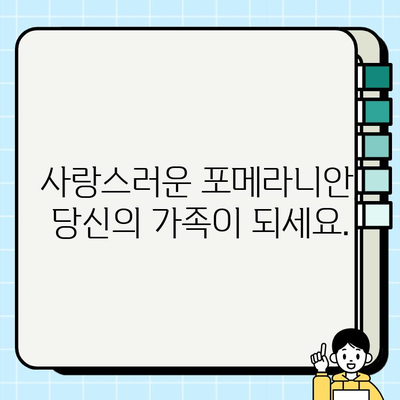 의정부에서 무료 분양하는 깜찍한 포메라니안| 사랑스러운 반려견을 만나보세요! | 포메라니안 분양, 의정부 강아지 무료 분양