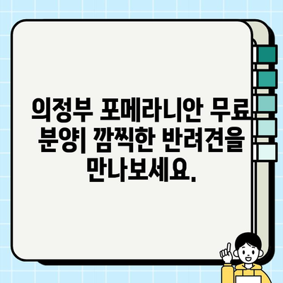 의정부에서 무료 분양하는 깜찍한 포메라니안| 사랑스러운 반려견을 만나보세요! | 포메라니안 분양, 의정부 강아지 무료 분양