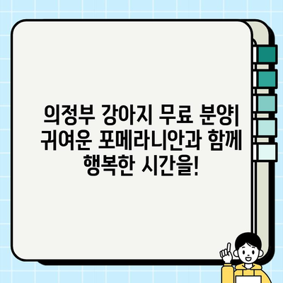 의정부에서 무료 분양하는 깜찍한 포메라니안| 사랑스러운 반려견을 만나보세요! | 포메라니안 분양, 의정부 강아지 무료 분양