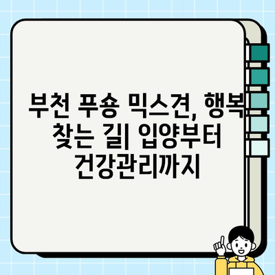 부천 푸숑 믹스견, 행복 찾는 길| 입양부터 건강관리까지 | 푸숑, 믹스견, 입양, 건강, 부천