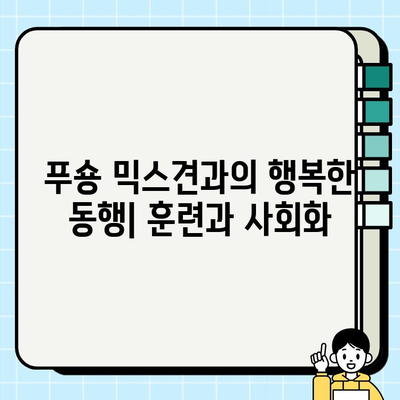 부천 푸숑 믹스견, 행복 찾는 길| 입양부터 건강관리까지 | 푸숑, 믹스견, 입양, 건강, 부천