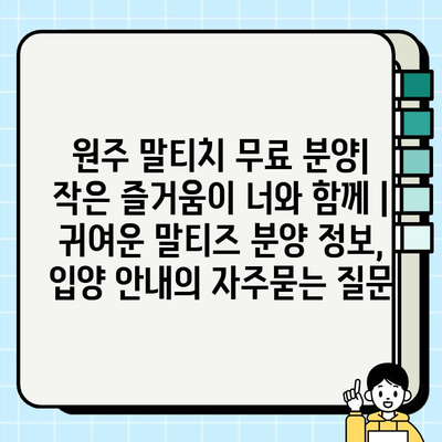 원주 말티치 무료 분양| 작은 즐거움이 너와 함께 | 귀여운 말티즈 분양 정보, 입양 안내